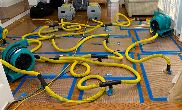 Professional Structural Drying And Dehumidification technician working in Hamilton, TX